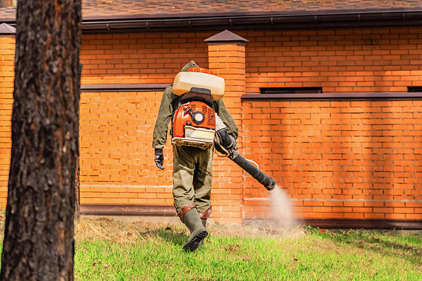 Trusted Emergency Pest Control service in Shannon Hills, AR - Nex Pest Control
